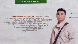 Why is Pop Science Obsessed with 'Gaydar'?